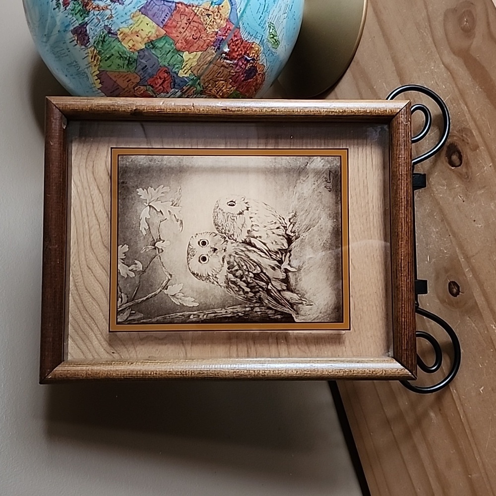 Vintage photographed owls on glass picture